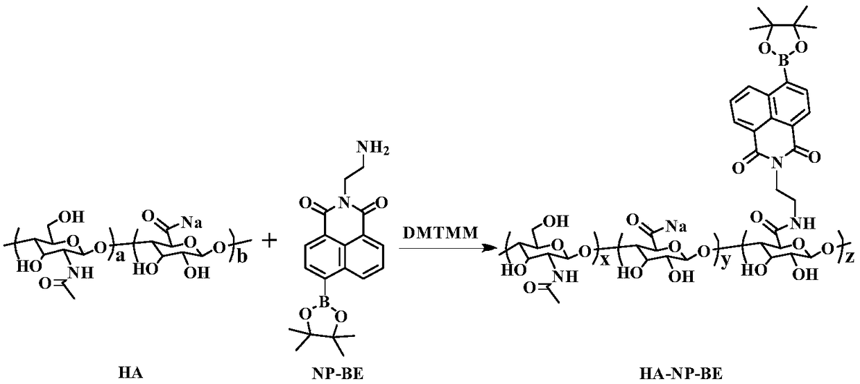 Nano-fluorescent probe targeting pancreatic cancer circulating tumor cells