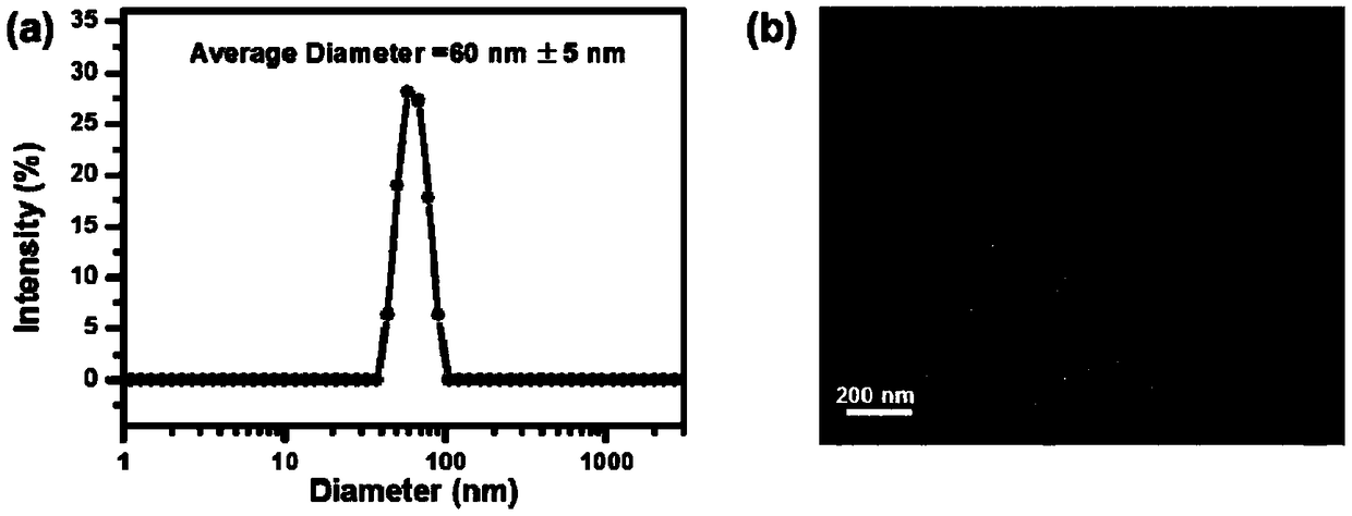 Nano-fluorescent probe targeting pancreatic cancer circulating tumor cells