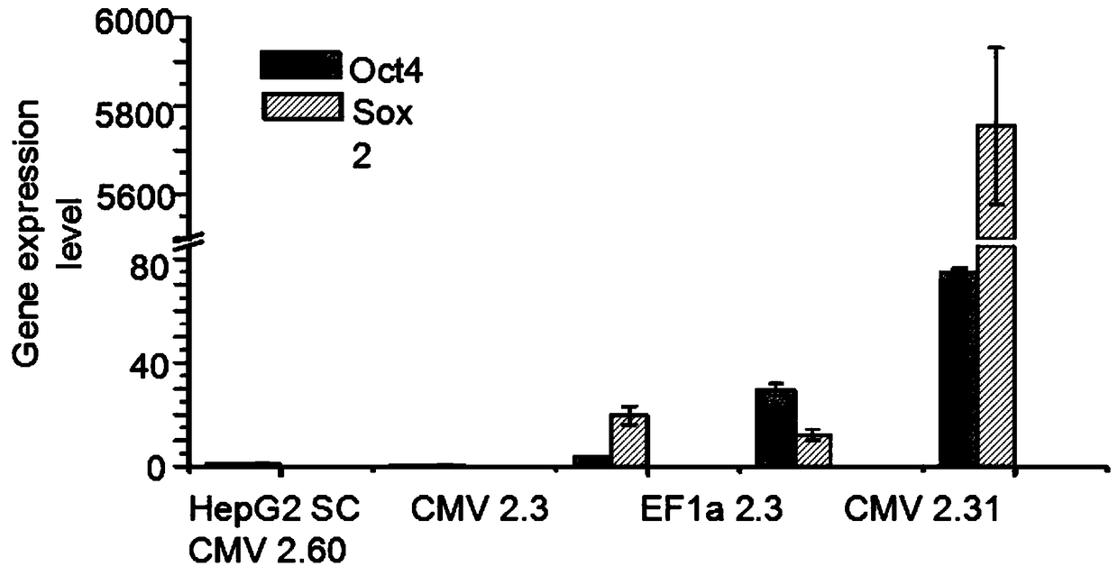 A kind of dendritic cell vaccine and its preparation method and application