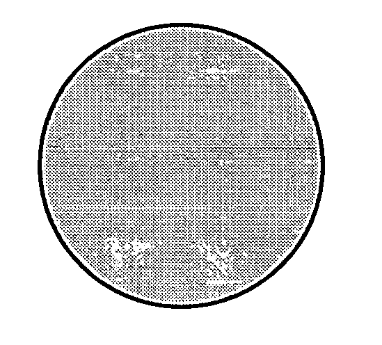 Photochromic contact lens having excellent discoloring characteristic