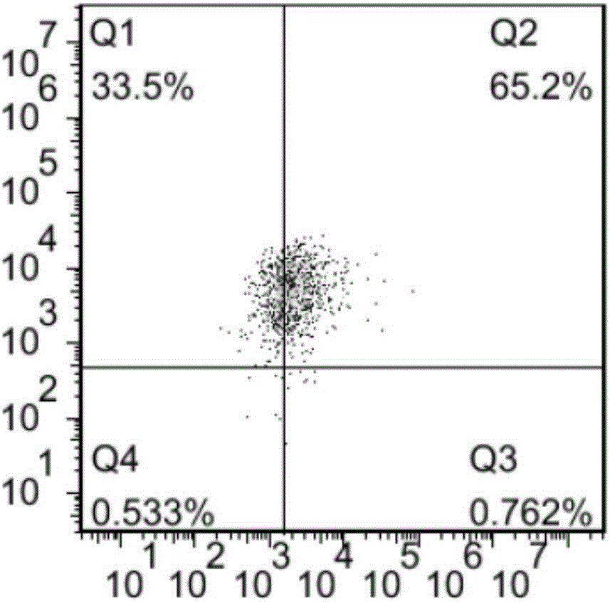 CD22-targeted high-lethality chimeric antigen receptor T-cell and use thereof in preparation of drugs for treating tumors