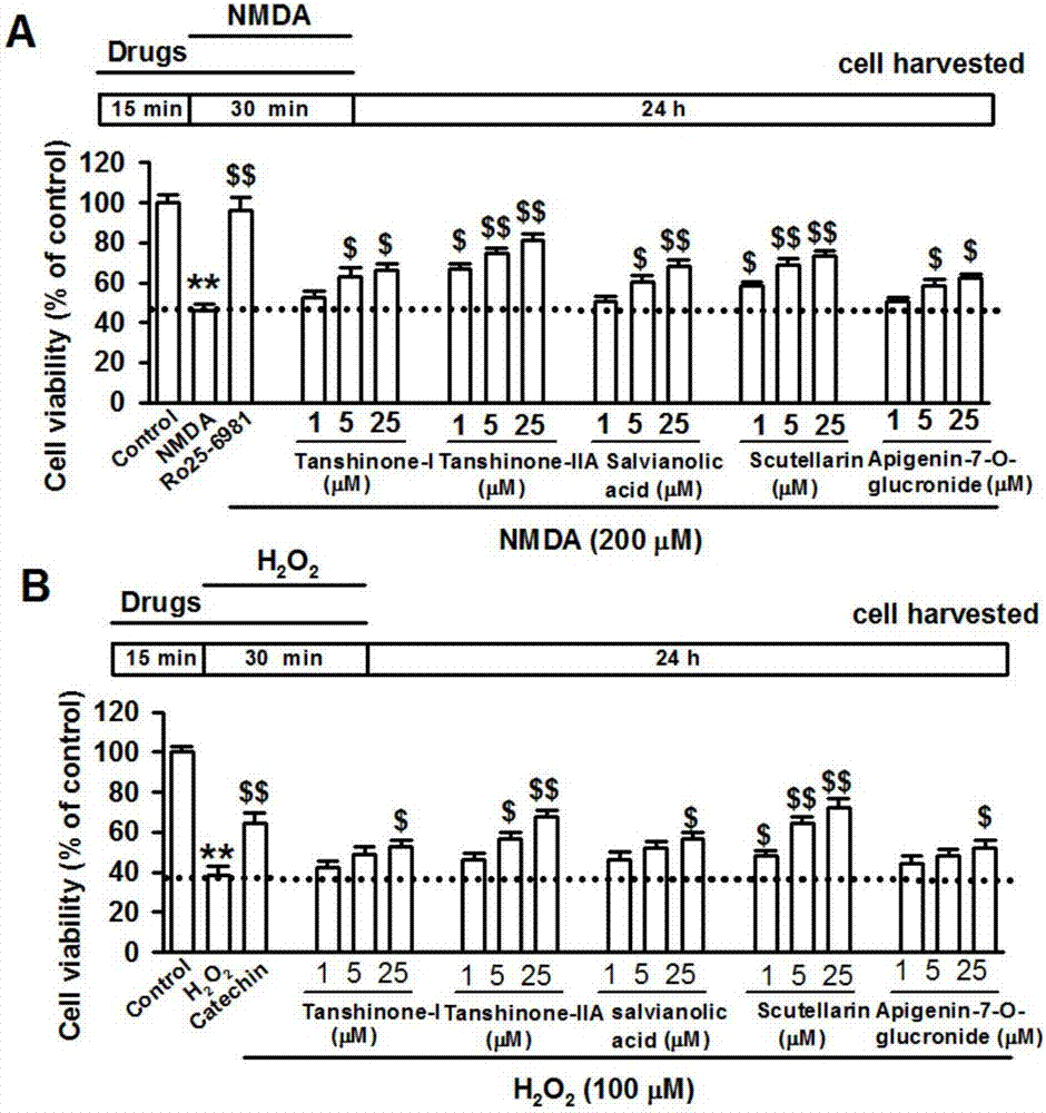 Traditional Chinese medicine monomer compound compatibility preparation for treating cerebral ischemia and preparation method