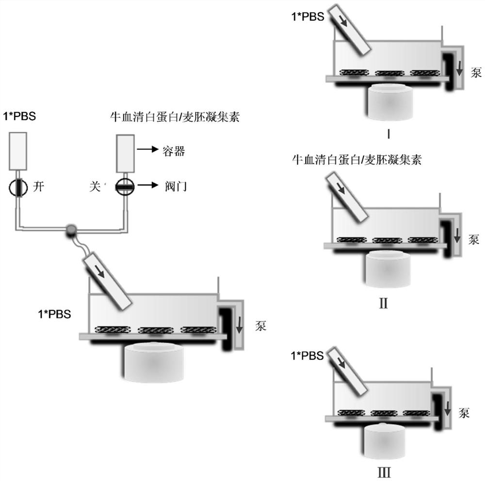 A method for analyzing the interaction between single carbon nanotube and protein