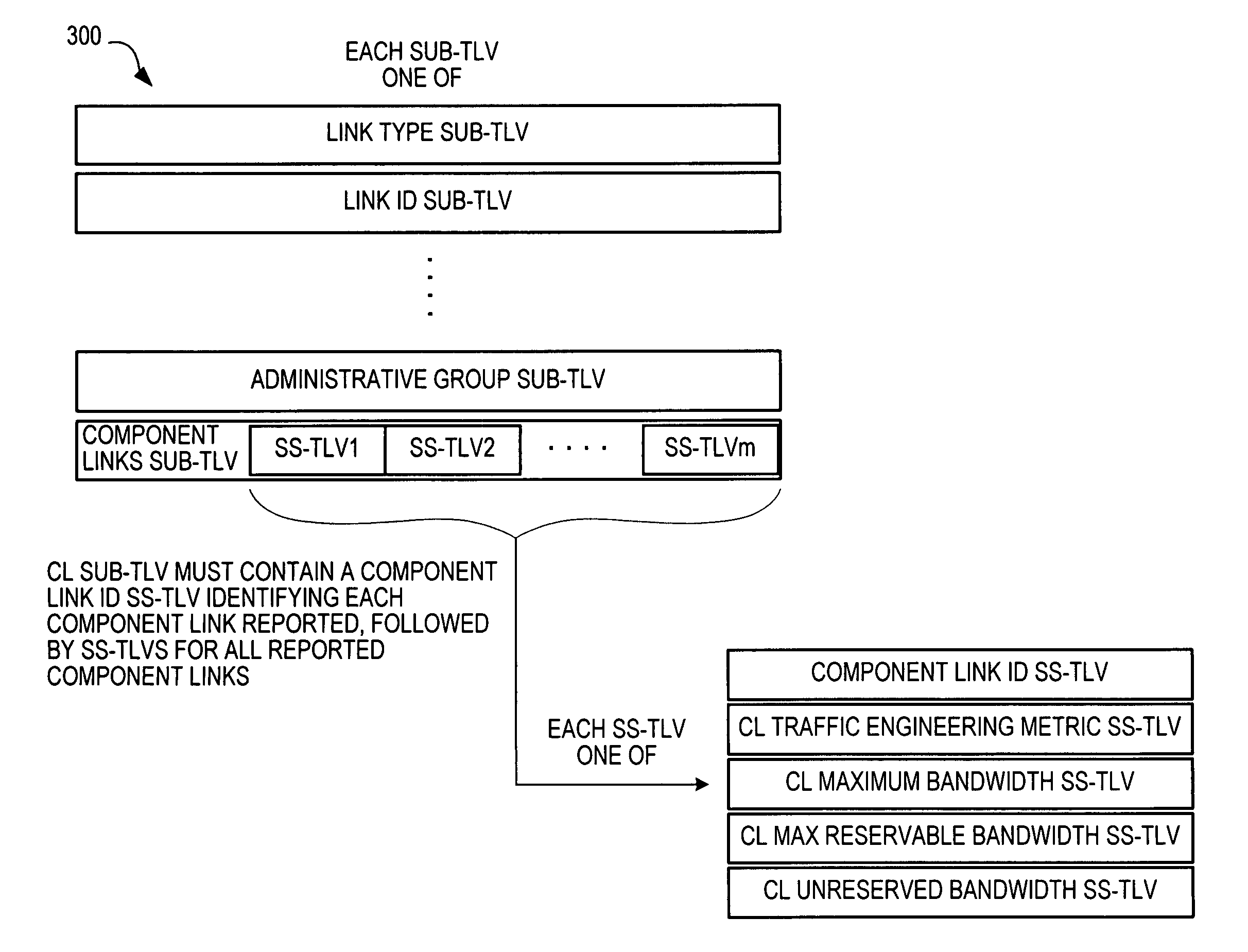 Leaking component link traffic engineering information