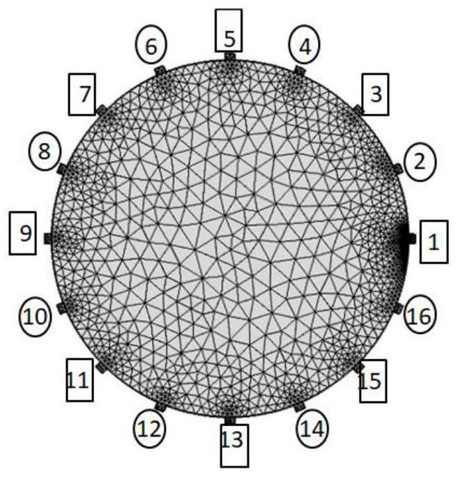 A Dynamic Electrical Impedance Imaging Method Based on Electrode Sampling Calibration