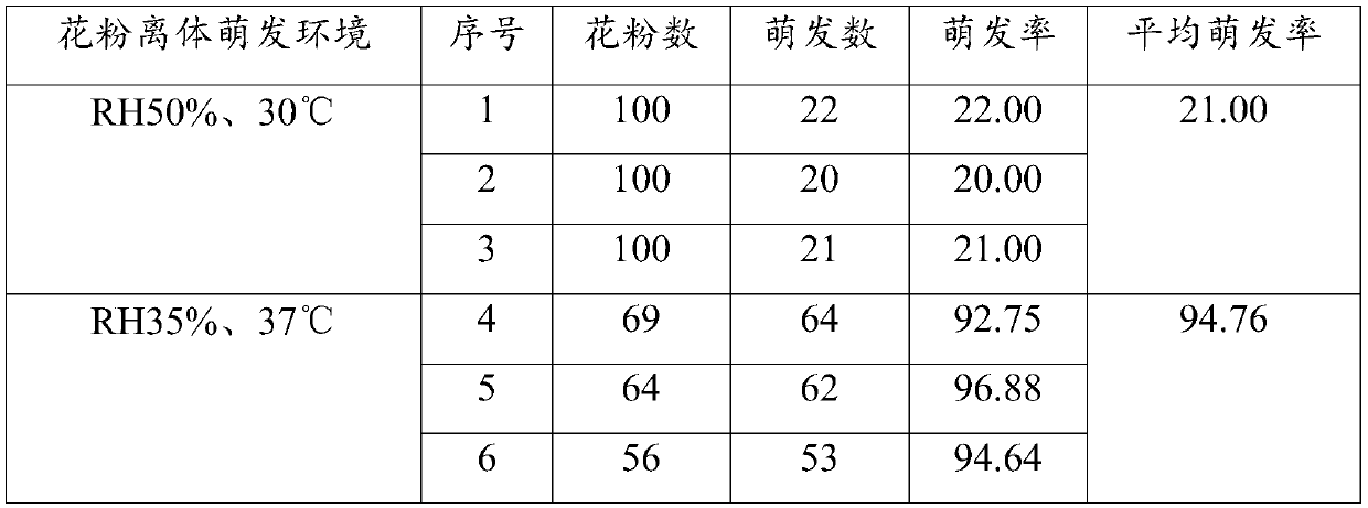 Ultralow-temperature preservation method of moringa oleifera pollen