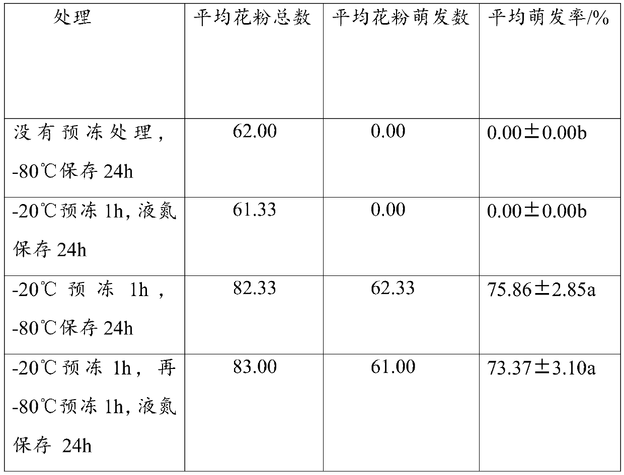 Ultralow-temperature preservation method of moringa oleifera pollen