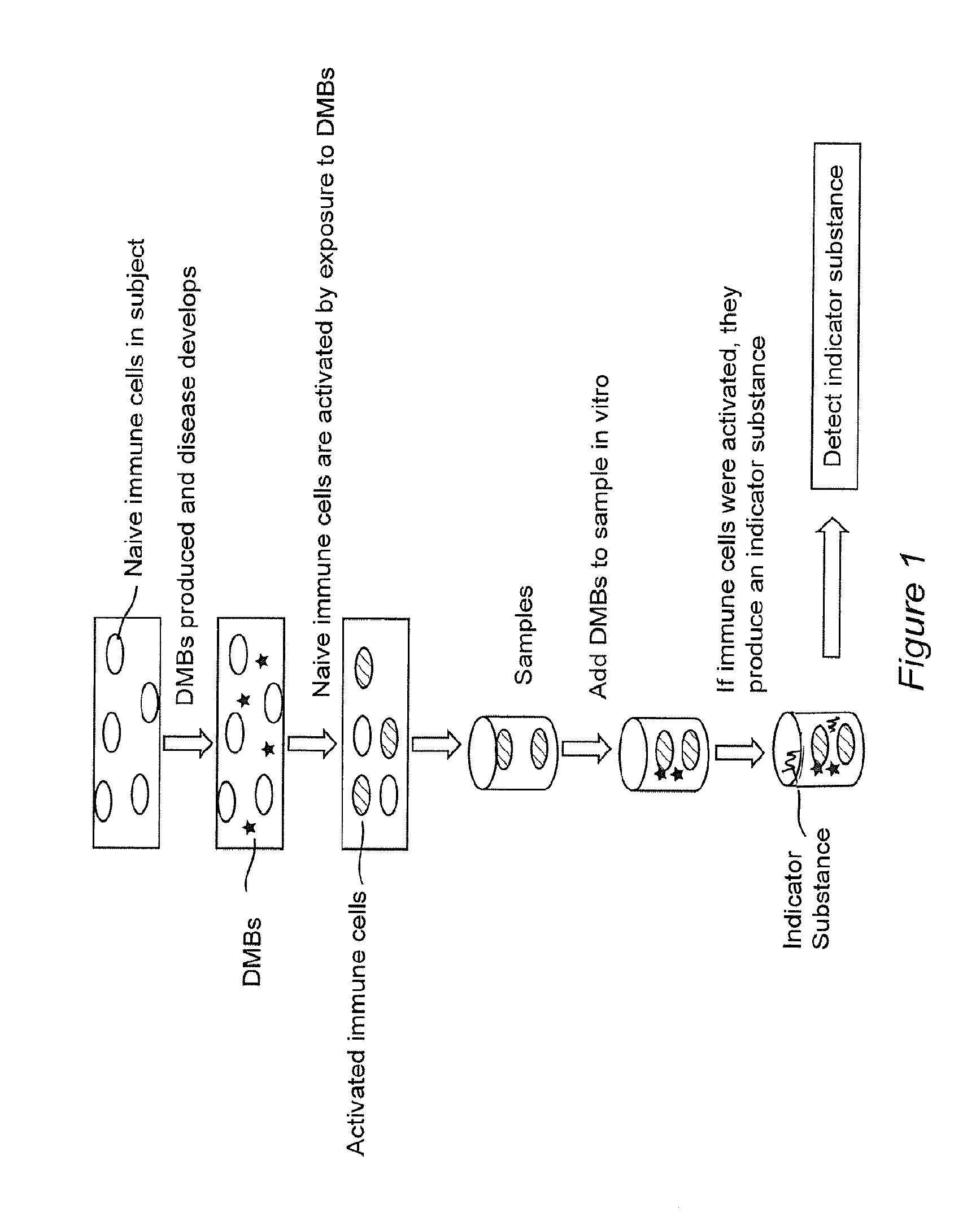 Methods for diagnosing and monitoring diseases or conditions using disease modified biomolecules and measurement of a functional immune response