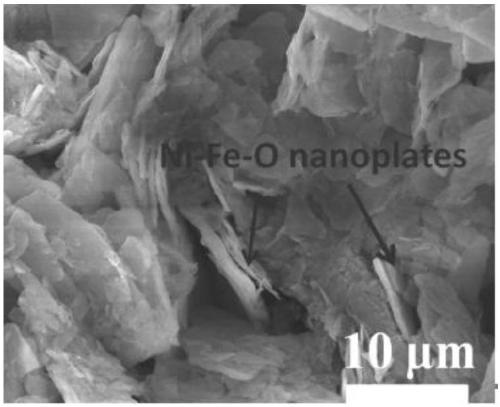 Ferro-nickel phosphate/carbon nanotube composite material and preparation method and application thereof