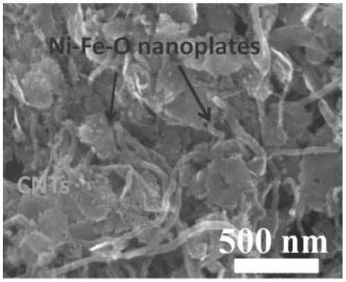 Ferro-nickel phosphate/carbon nanotube composite material and preparation method and application thereof