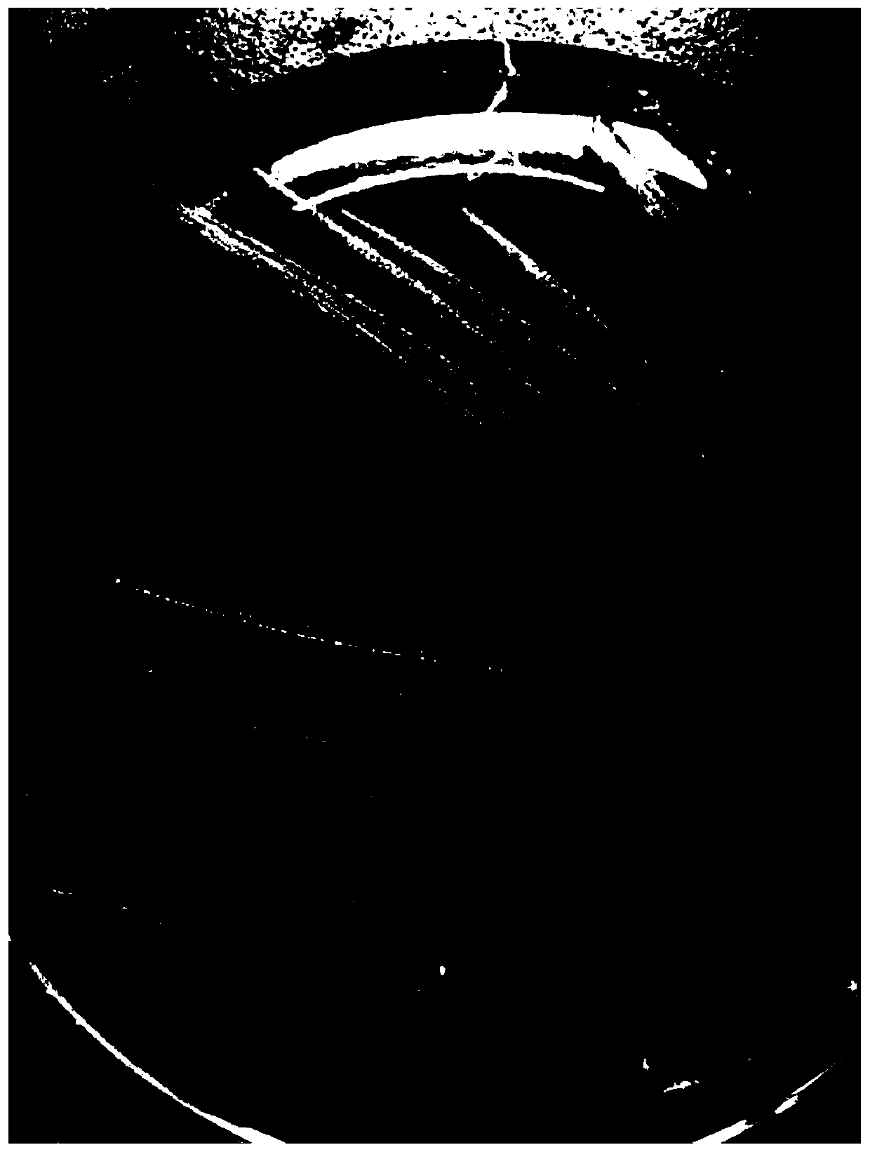 Compound lactic acid bacterium preparation and application thereof in preparing feed additive