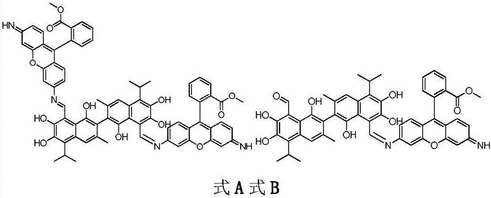 Novel gossypol Schiff base derivative with antineoplastic activity and synthetic method thereof