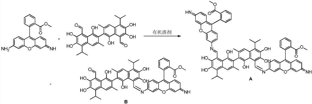 Novel gossypol Schiff base derivative with antineoplastic activity and synthetic method thereof