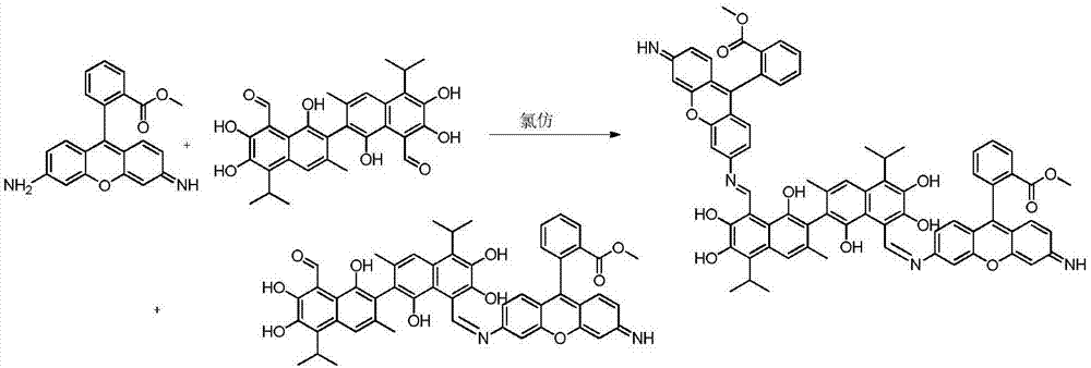 Novel gossypol Schiff base derivative with antineoplastic activity and synthetic method thereof