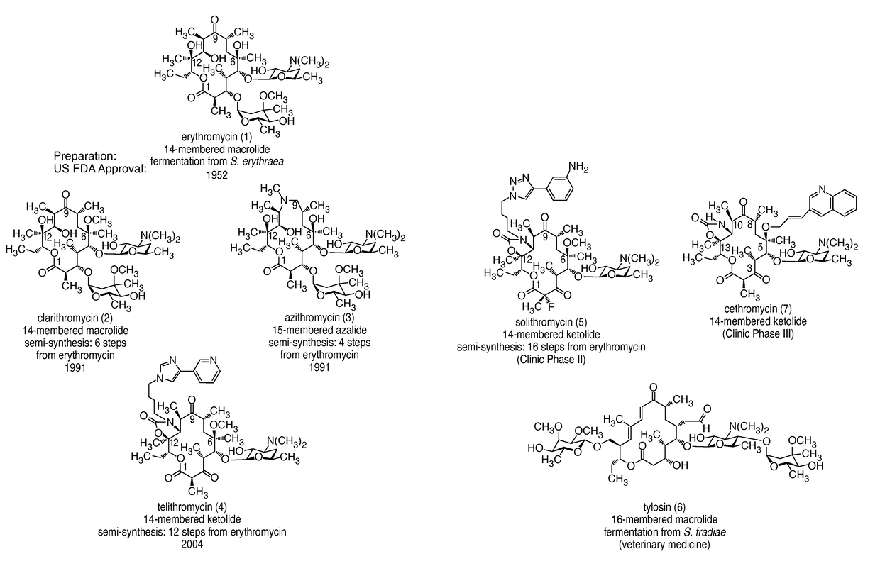 14-membered ketolides and methods of their preparation and use