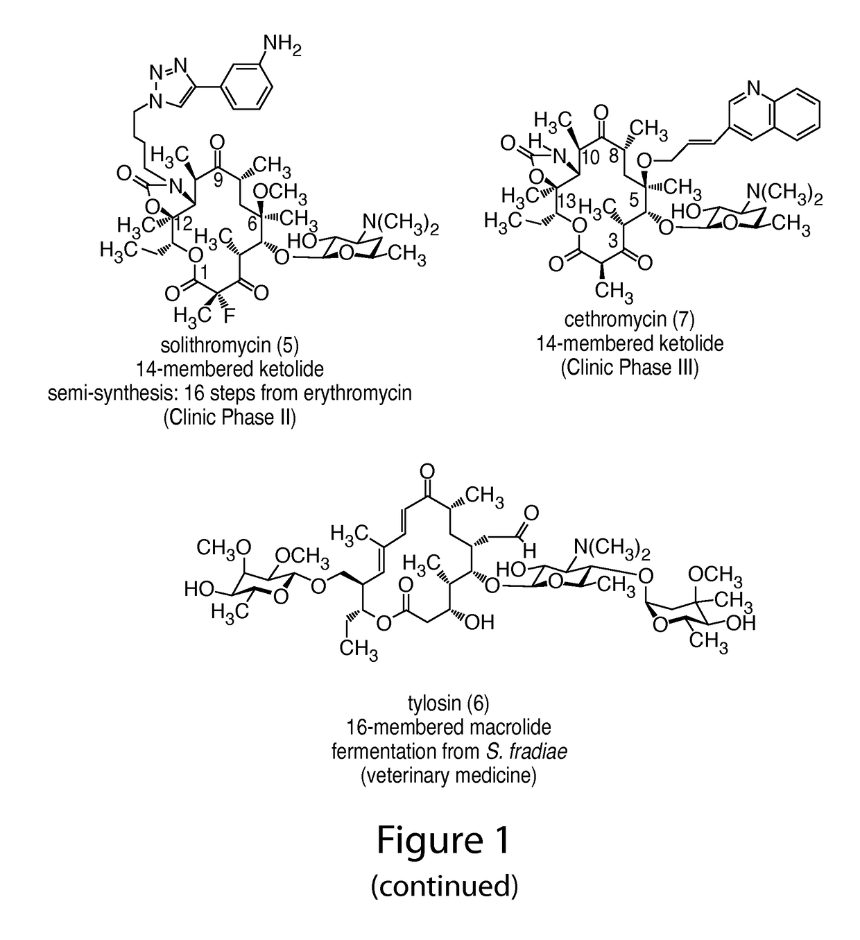 14-membered ketolides and methods of their preparation and use