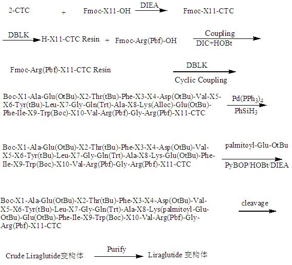 Liraglutide variant and conjugate thereof