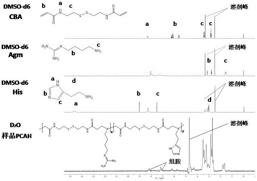 Histone simulated gene vector and preparation method and application thereof