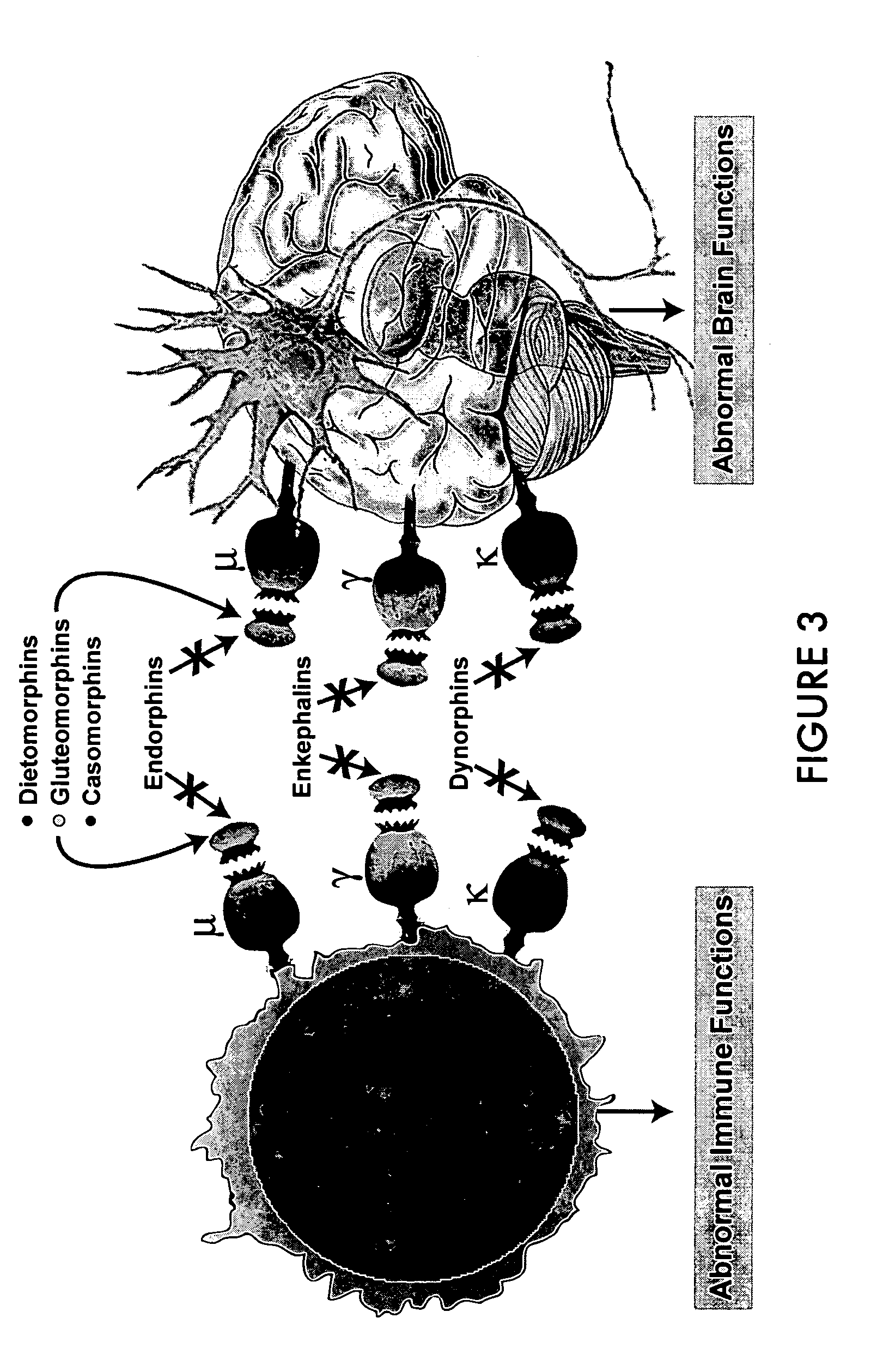 Identification of etiology of autism