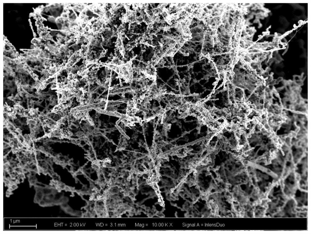 Carbon nanotube surface coating method