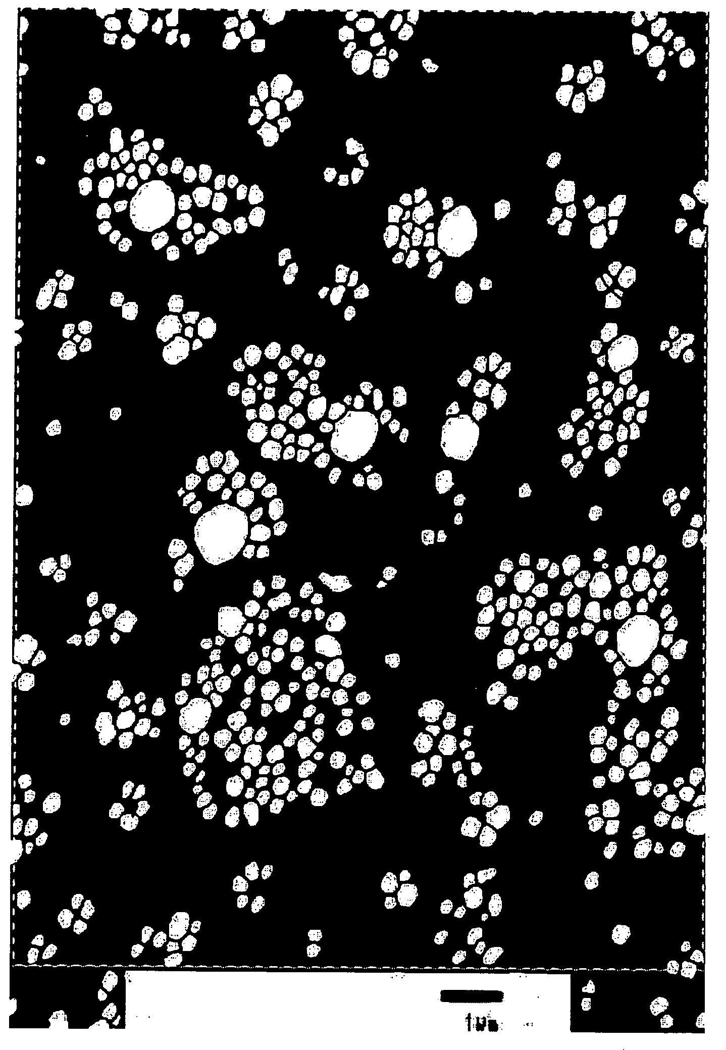 Polycarbonate Resin Composition and Molded Product Produced from the Same