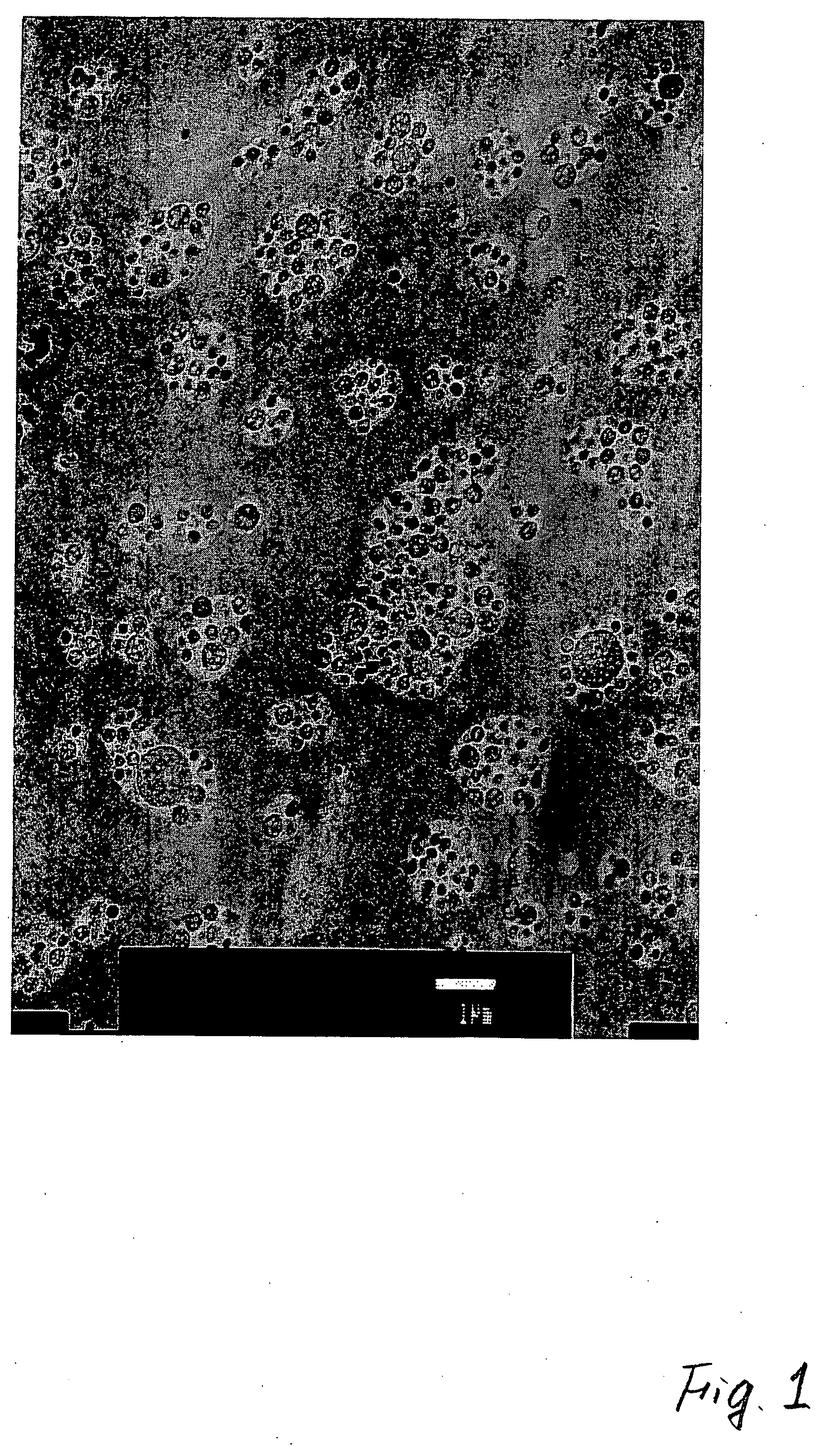 Polycarbonate Resin Composition and Molded Product Produced from the Same