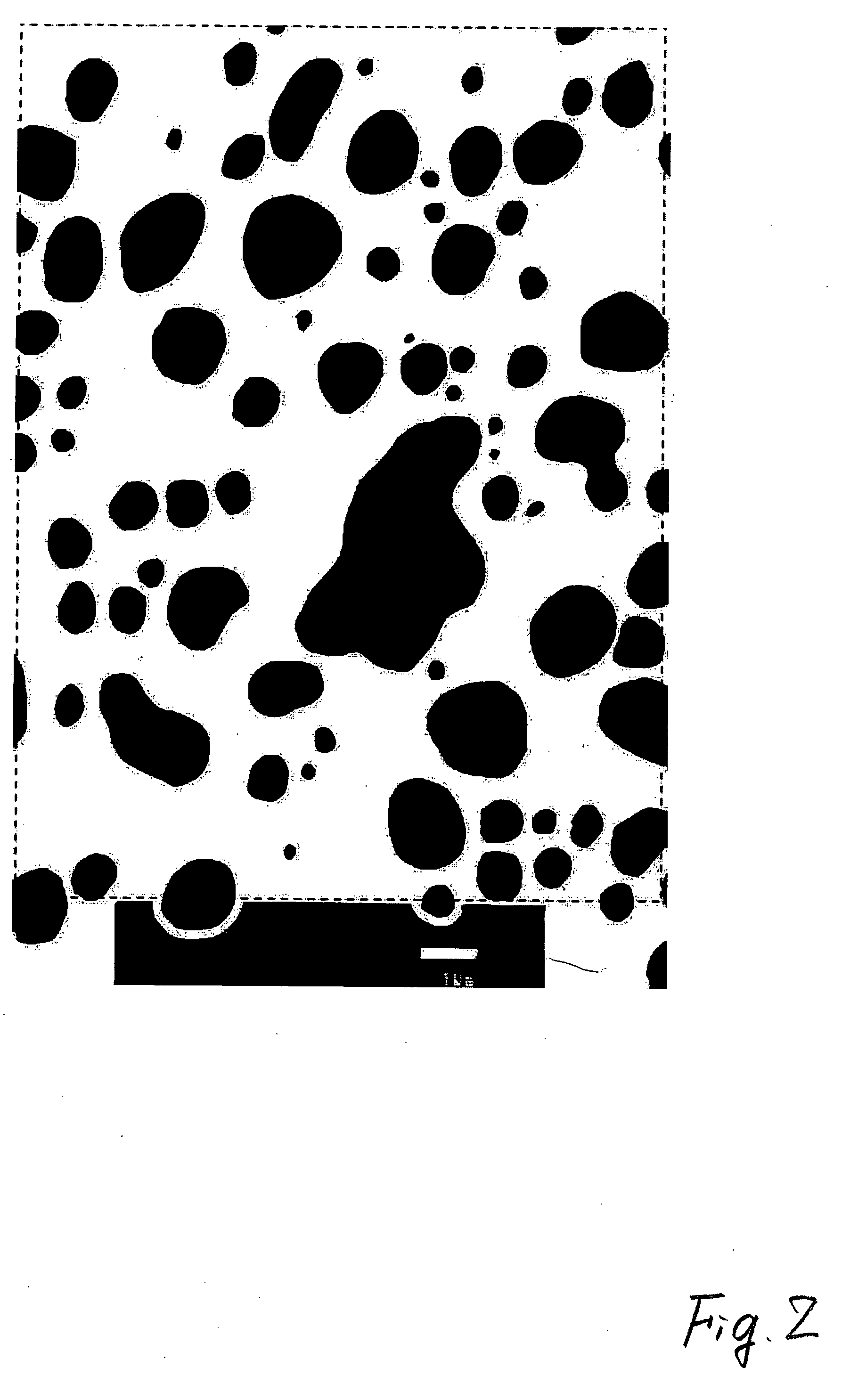 Polycarbonate Resin Composition and Molded Product Produced from the Same