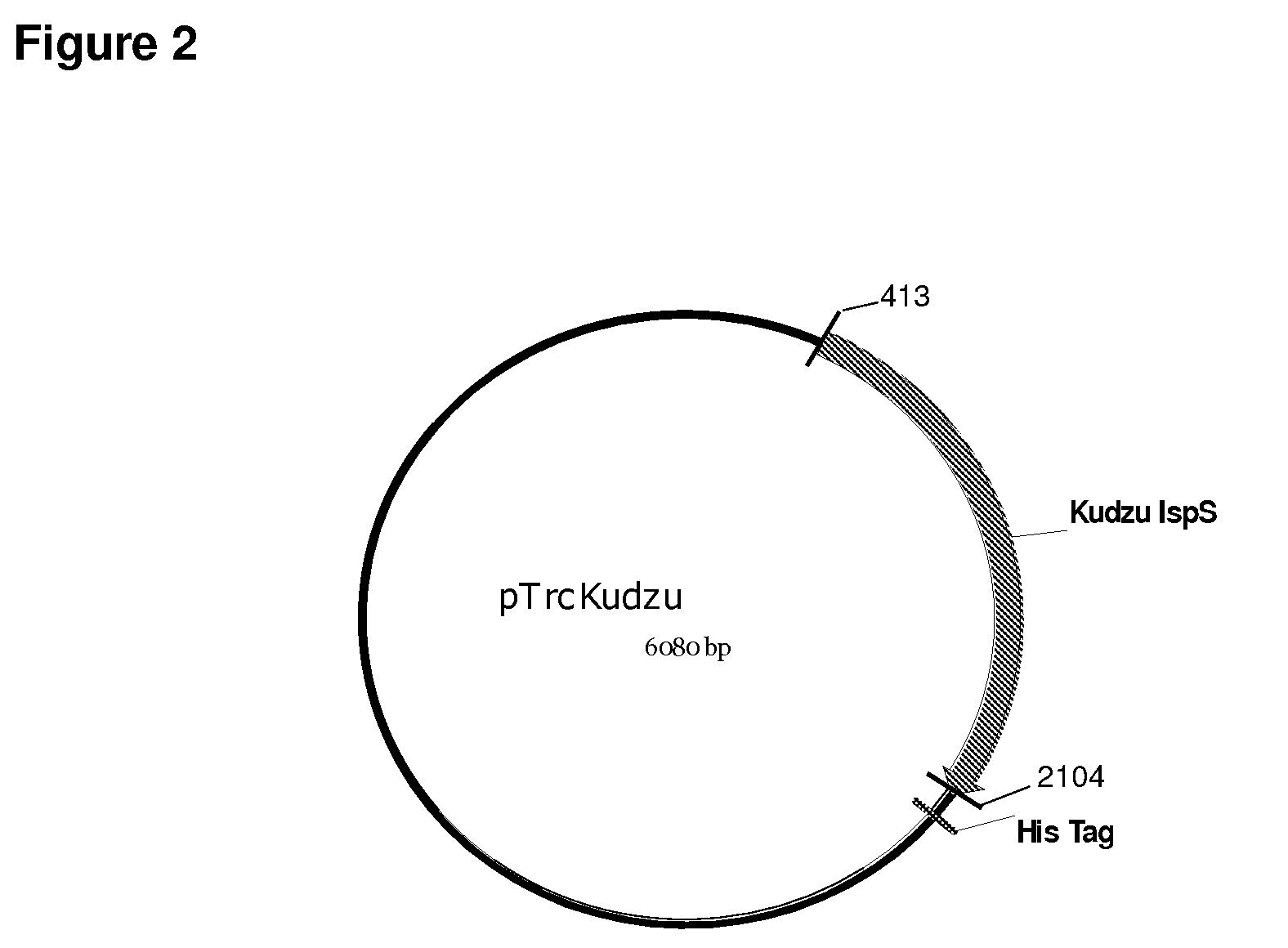 Systems using cell culture for production of isoprene