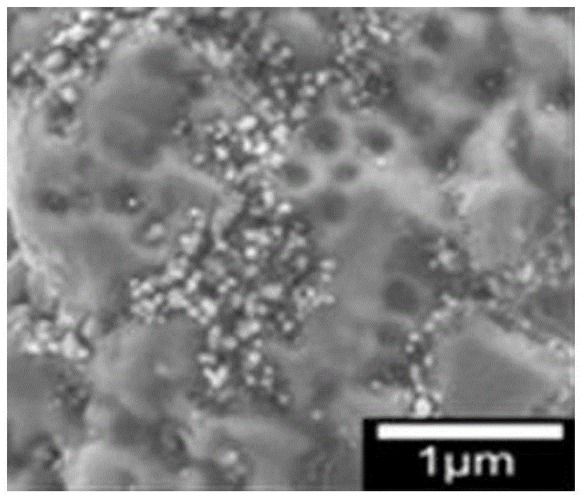 Preparation method of Fe3N polycrystalline film based on GaN substrate