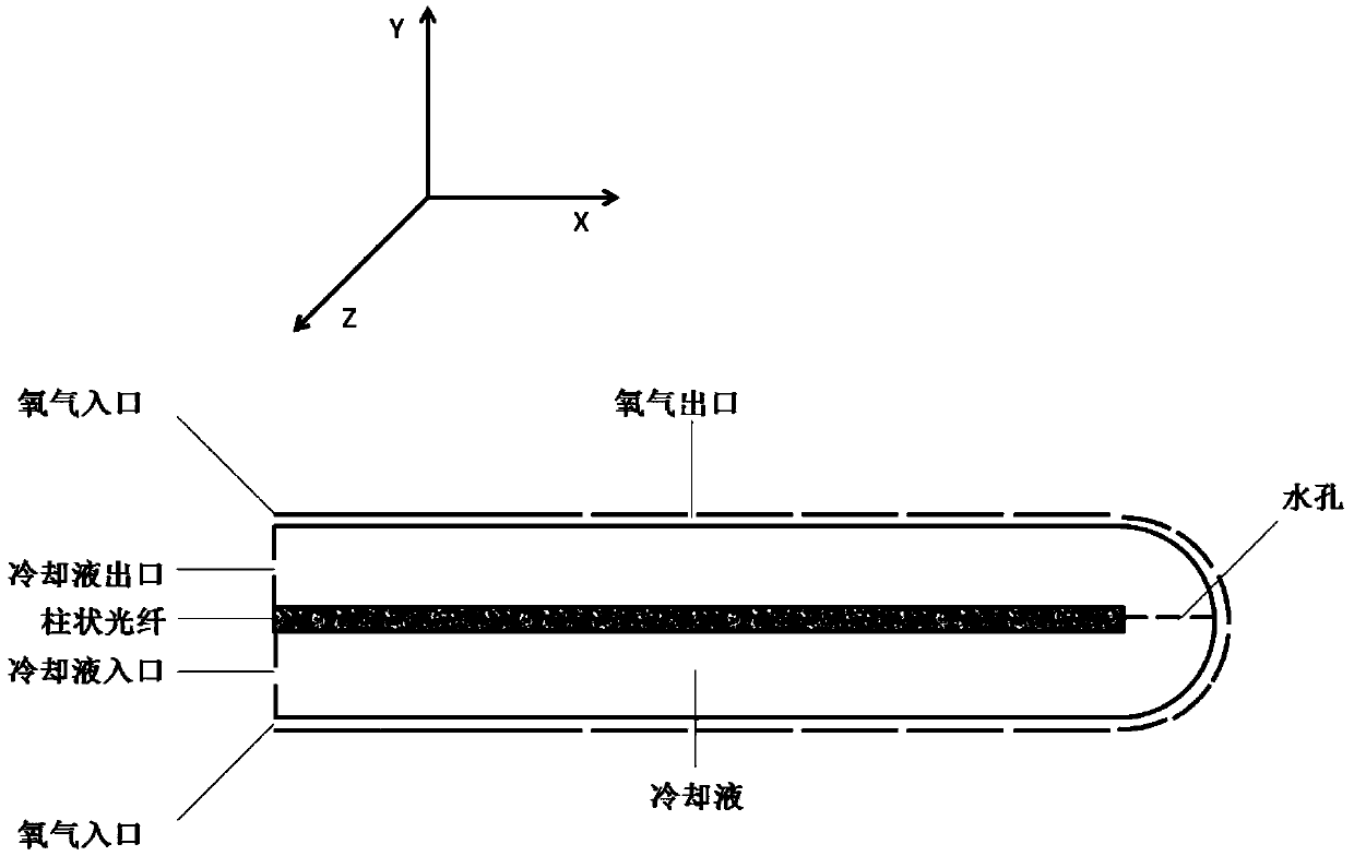 A photodynamic therapy light guide system that can be used in human body cavity