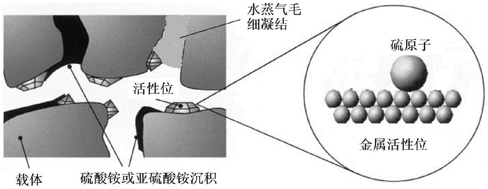 A low-temperature anti-sulfur denitrification catalyst and preparation method thereof