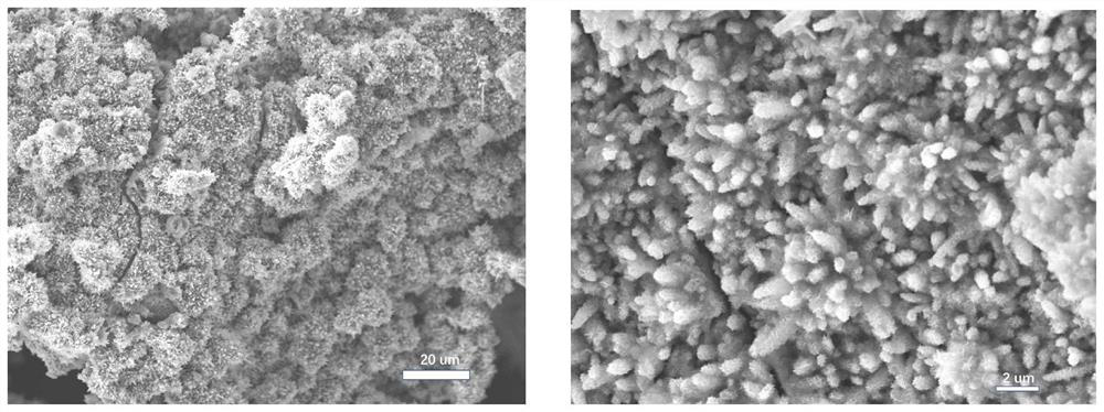 Self-supporting layered bimetallic phosphide-graphdiyne composite catalyst as well as preparation method and application thereof