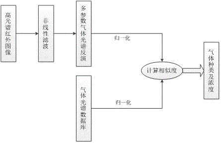 Gas detection method based on hyperspectral infrared image processing