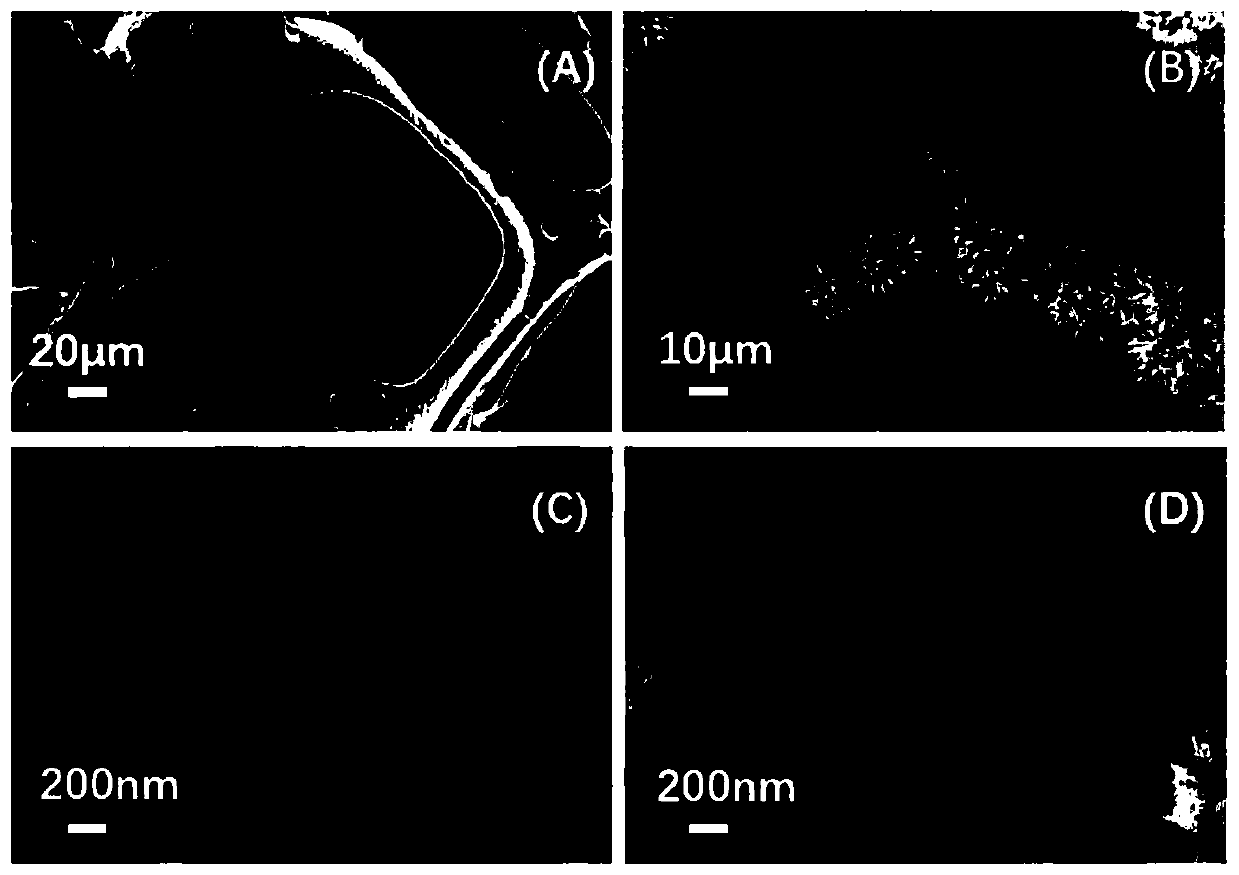 Synthesis method and application of monolithic nickel foam catalyst with 3D structure