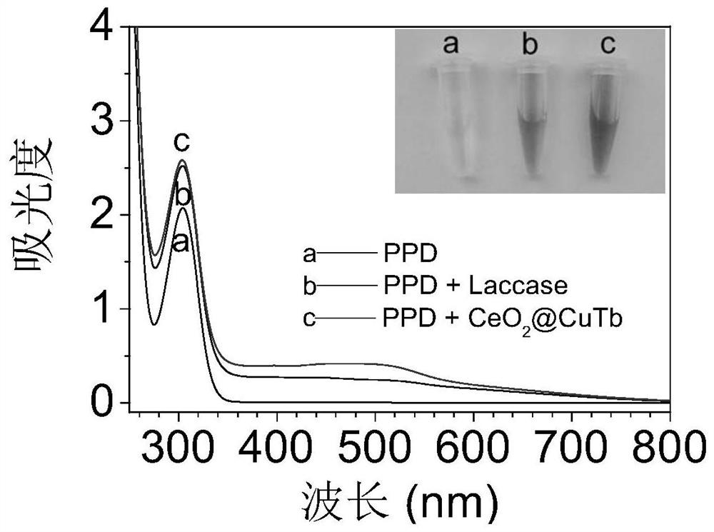 Multifunctional nanozyme and its preparation method and application