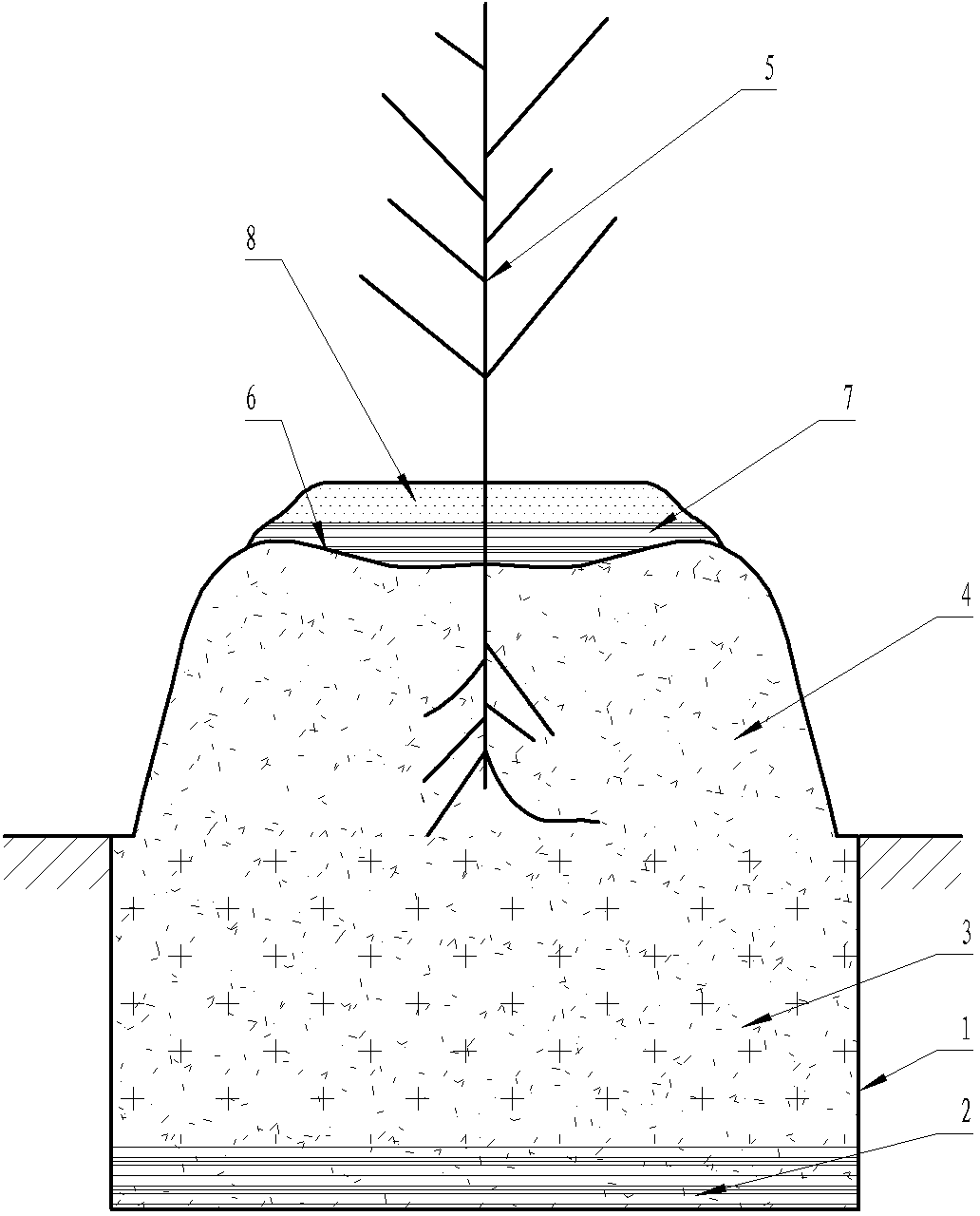 Macadimia nut planting method