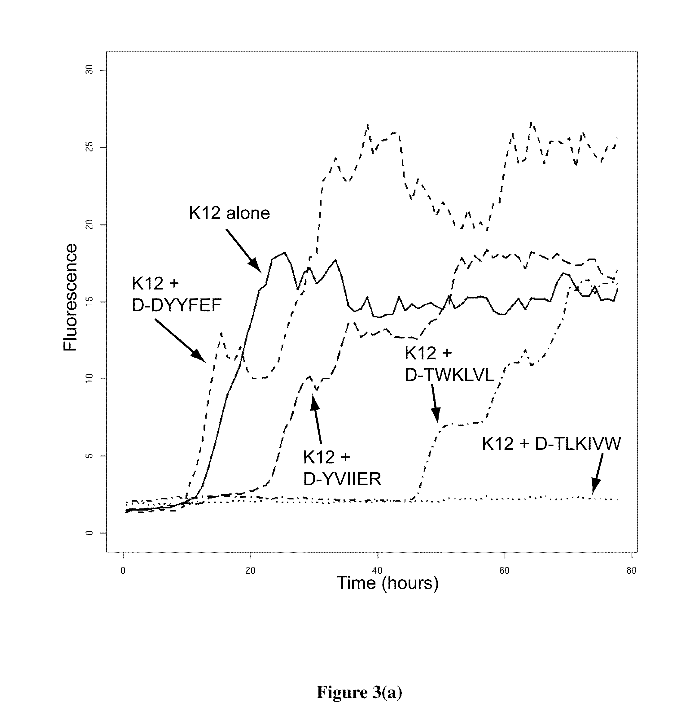 Structure-based design of peptide inhibitors of amyloid fibrillation