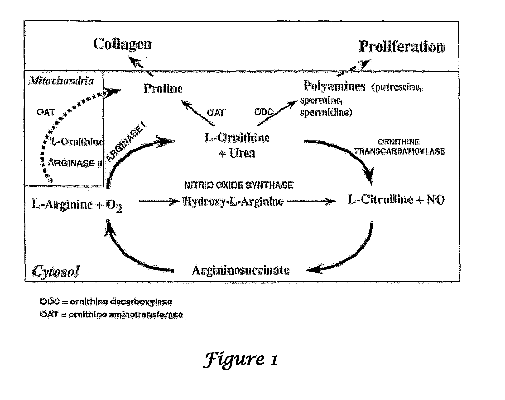 Compositions compromising Dimethyl Sulfoxide (DMSO)