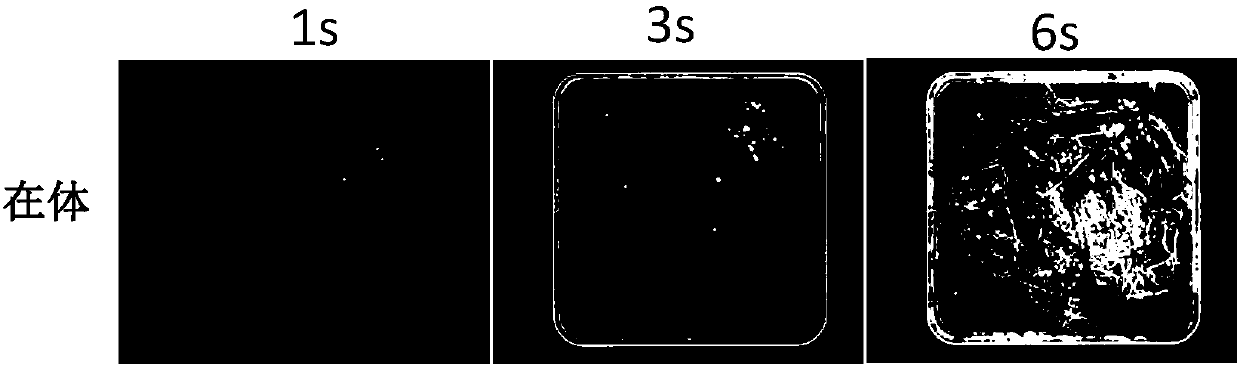 Root nodule counting method