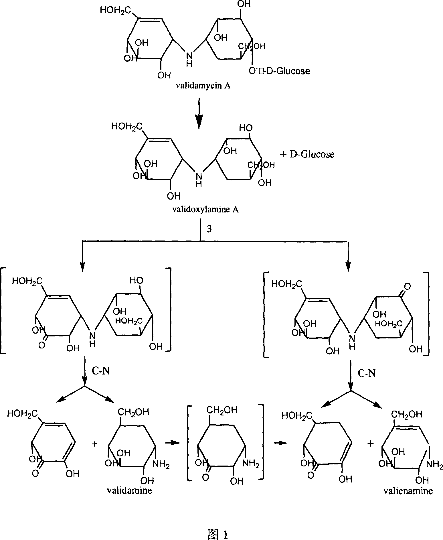 Gene engineering bacterium of beta - glucosaccharase, and application