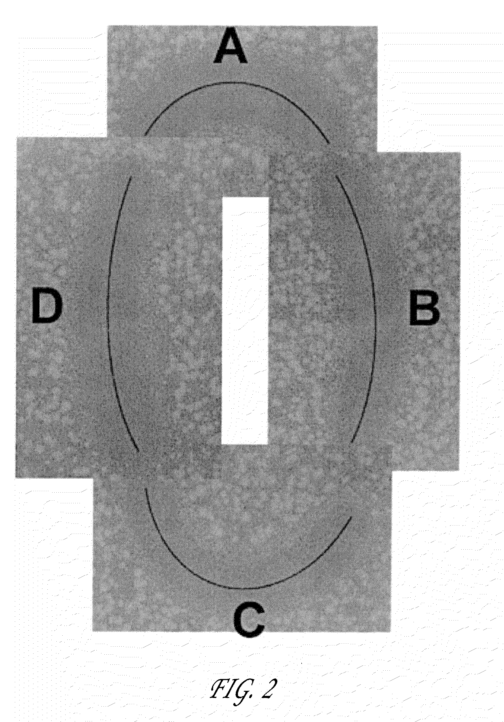 Packaged antimicrobial medical device and method of preparing same