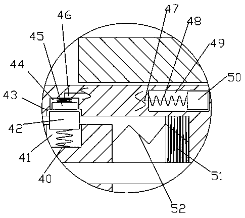 Veterinary remote injection device