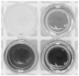 Escherichia coli kit and identification method