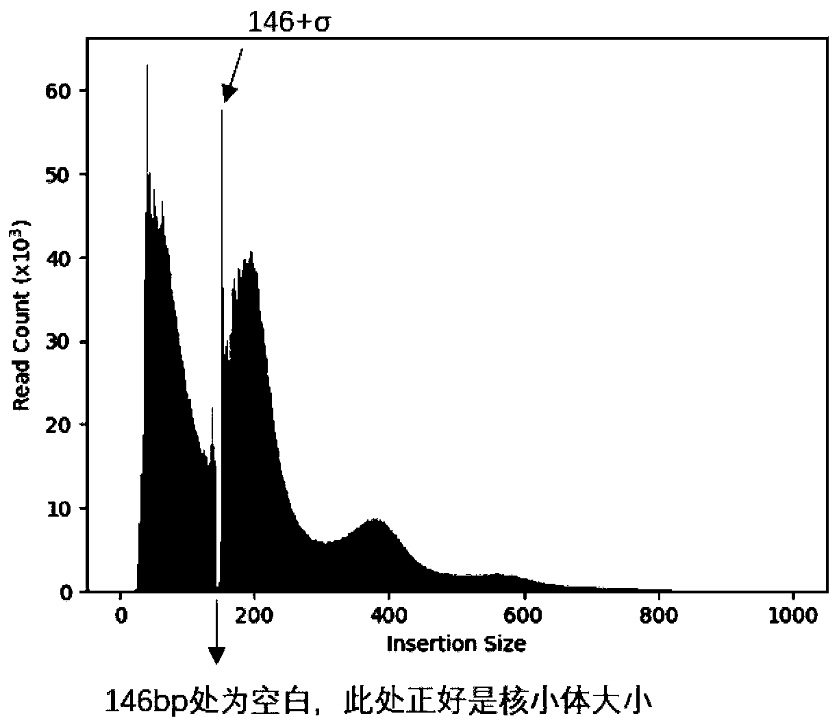 Library construction method applicable to cell line and animal tissue ATAC-seq sequencing technology