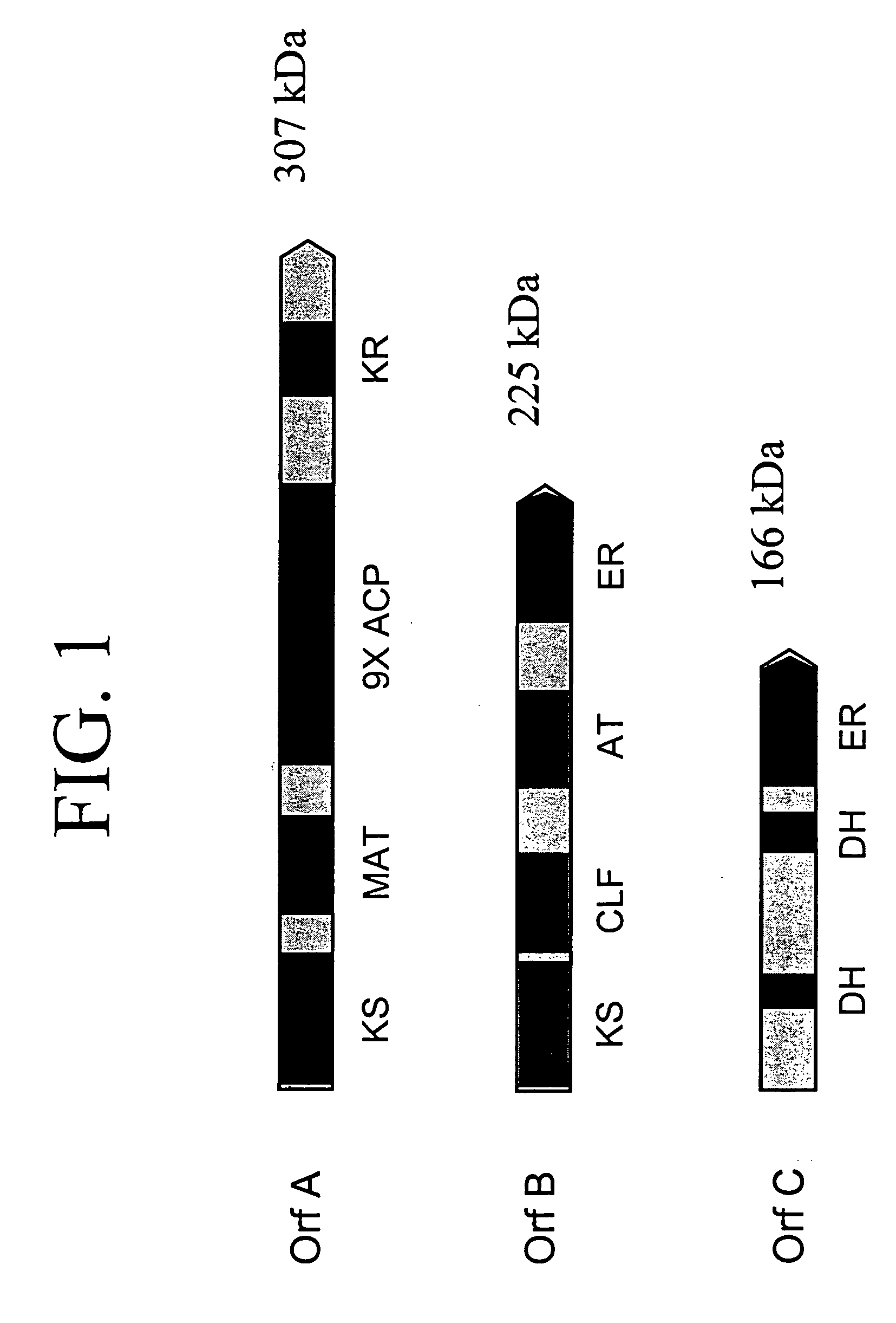 PUFA polyketide synthase systems and uses thereof