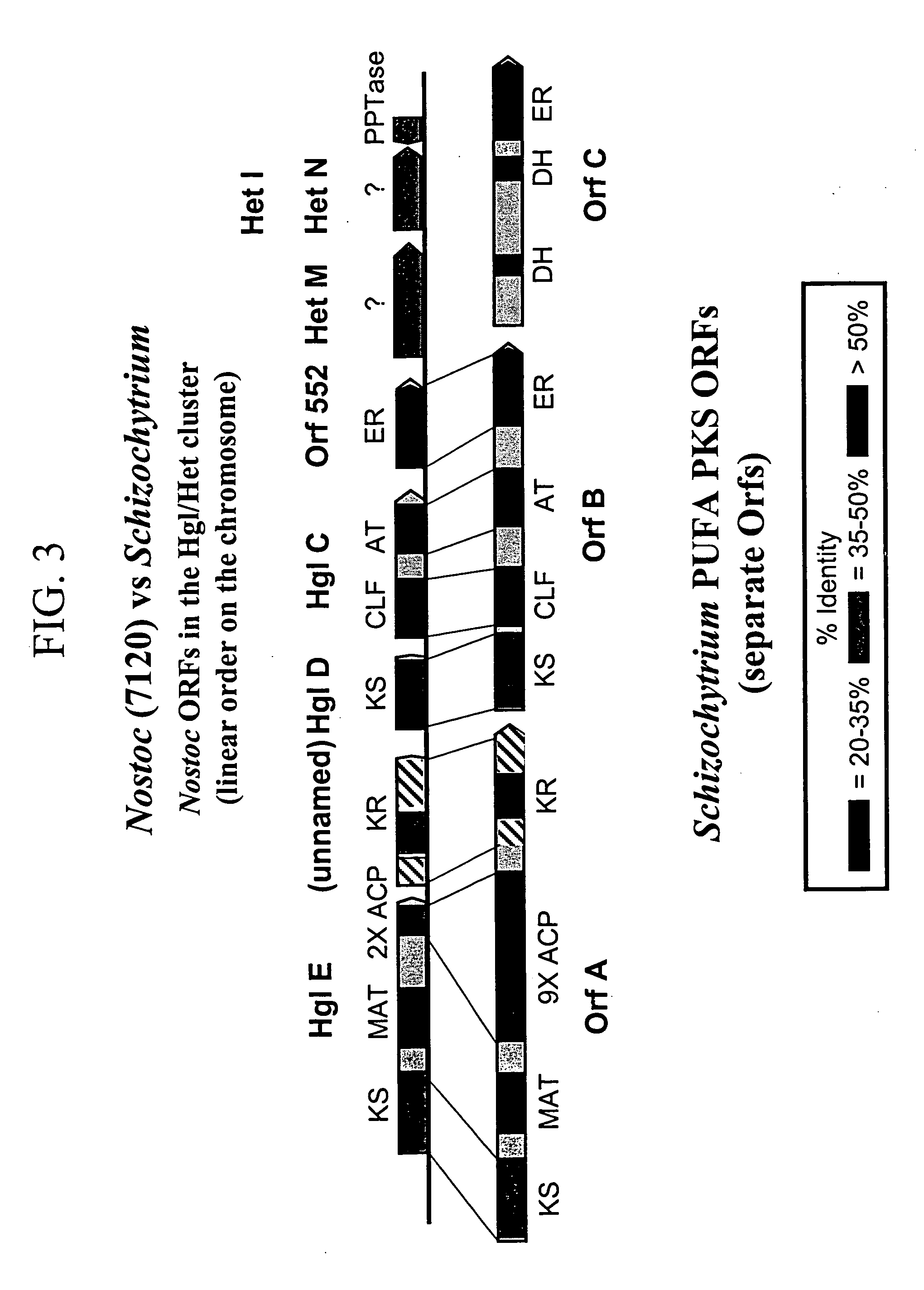 PUFA polyketide synthase systems and uses thereof