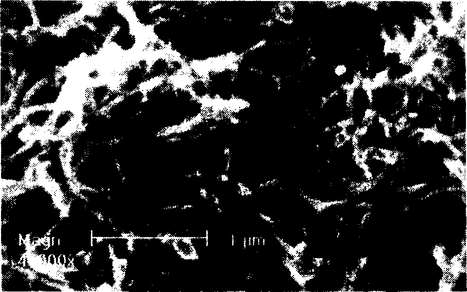 Method for preparing carbon nano-tube/poly L-cysteine composite modified glassy carbon electrode