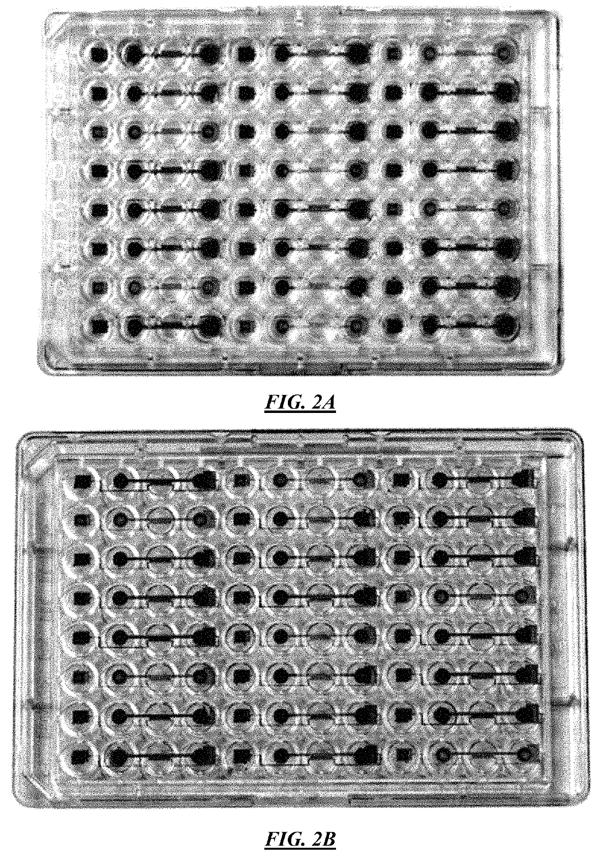 Cell culture and invasion assay method and system