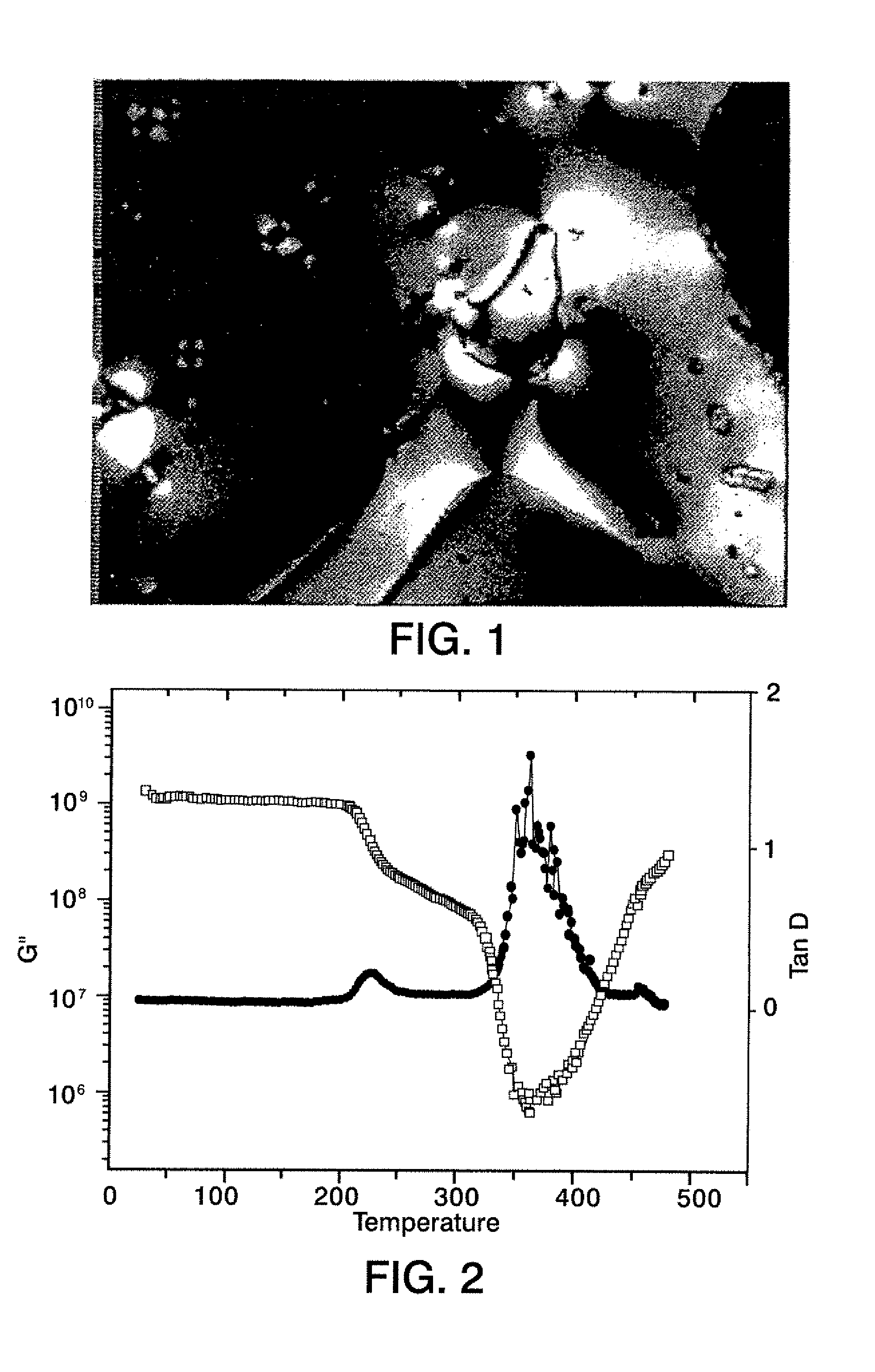 Wholly Aromatic Liquid Crystalline Polyetherimide (LC-PEI) Resins