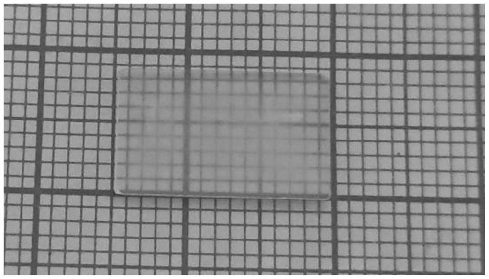 Preparation method of large-size and high-quality two-dimensional halide perovskite single crystal